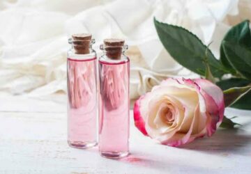 Rose Petals May Help Protect Collagen, Research Finds