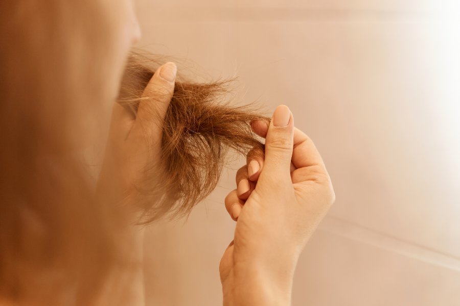 Dry Or Frizzy Hair