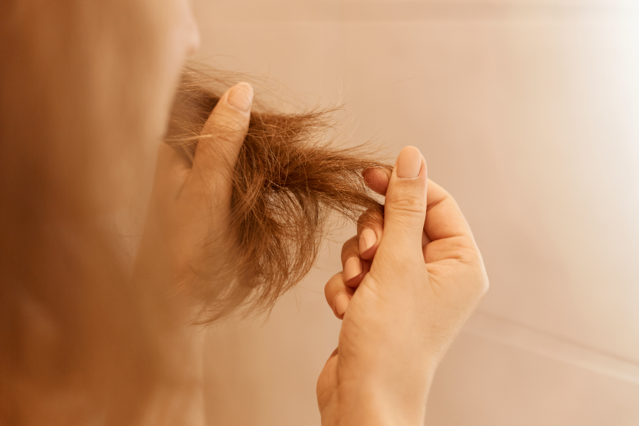Hair Porosity Hair Porosity