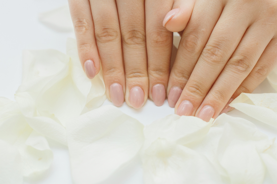 Sheer Milky Pink Nails